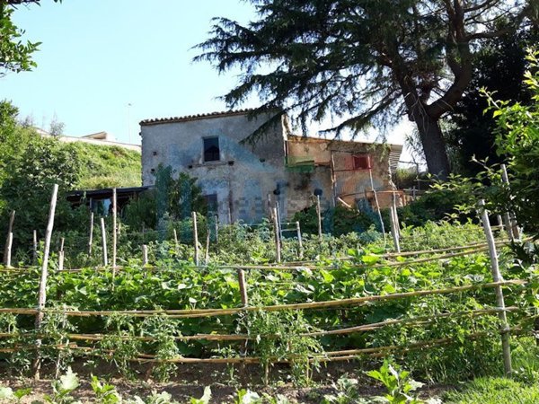 negozio in vendita a Buonvicino