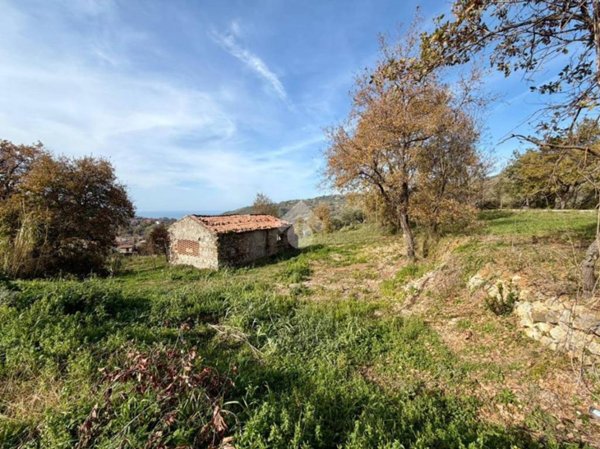 appartamento in vendita a Buonvicino