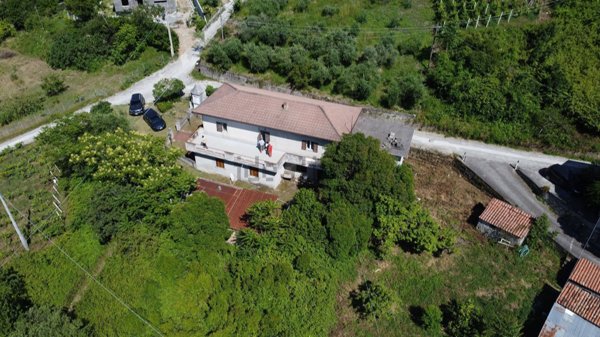 appartamento in vendita a Buonvicino