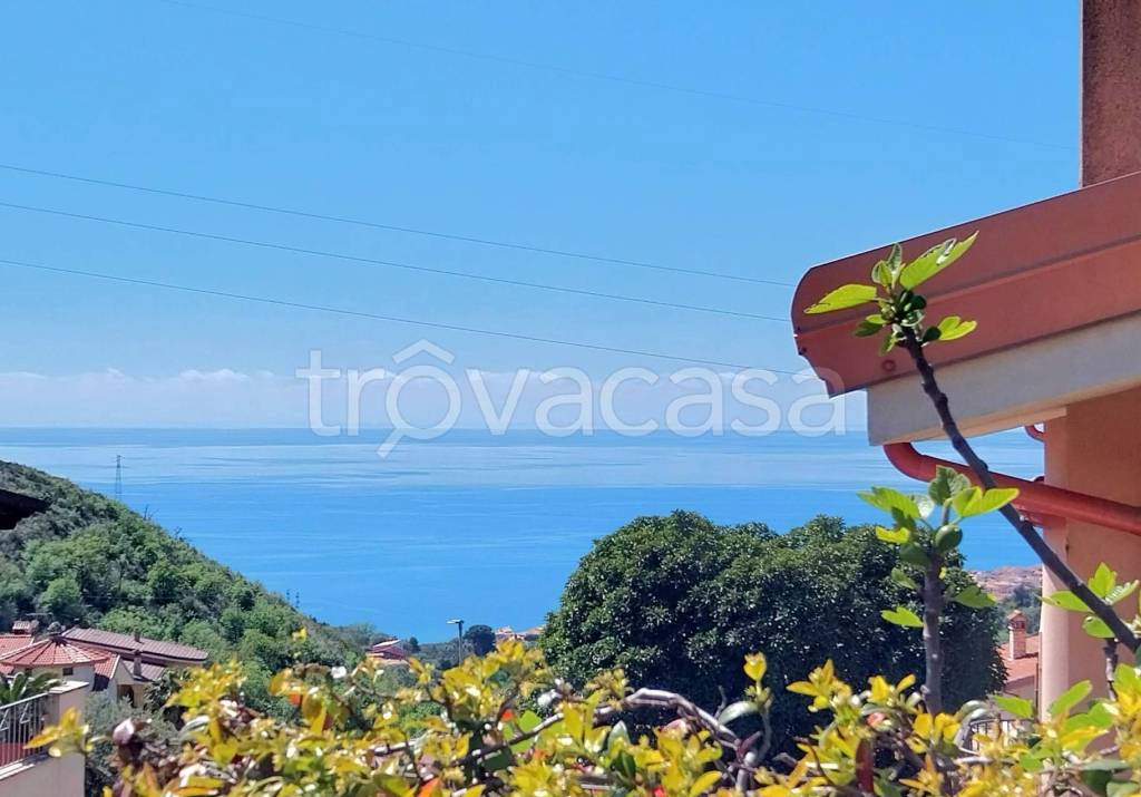 casa indipendente in vendita a Buonvicino