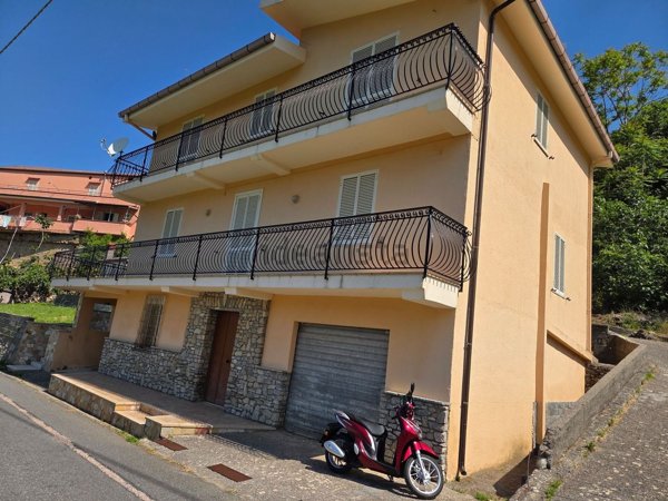 appartamento in vendita a Buonvicino