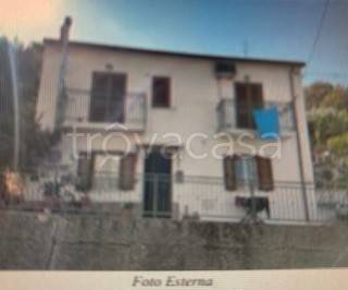 casa indipendente in vendita a Calopezzati