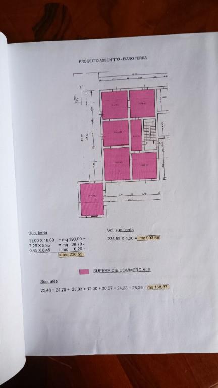 casa indipendente in vendita a Calopezzati
