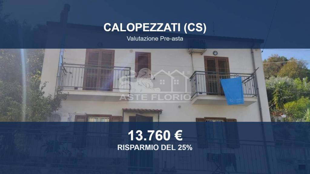 casa indipendente in vendita a Calopezzati