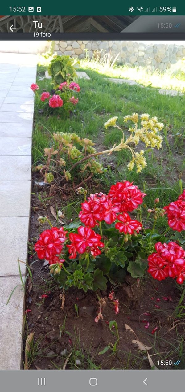 casa indipendente in vendita a Calopezzati