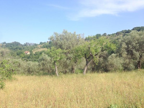 terreno agricolo in vendita a Calopezzati