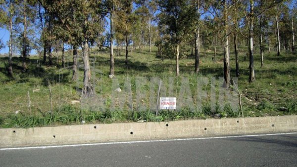 terreno agricolo in vendita a Calopezzati