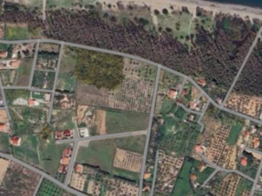 terreno agricolo in vendita a Cariati