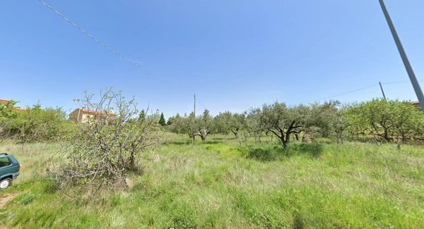 terreno edificabile in vendita a Carolei