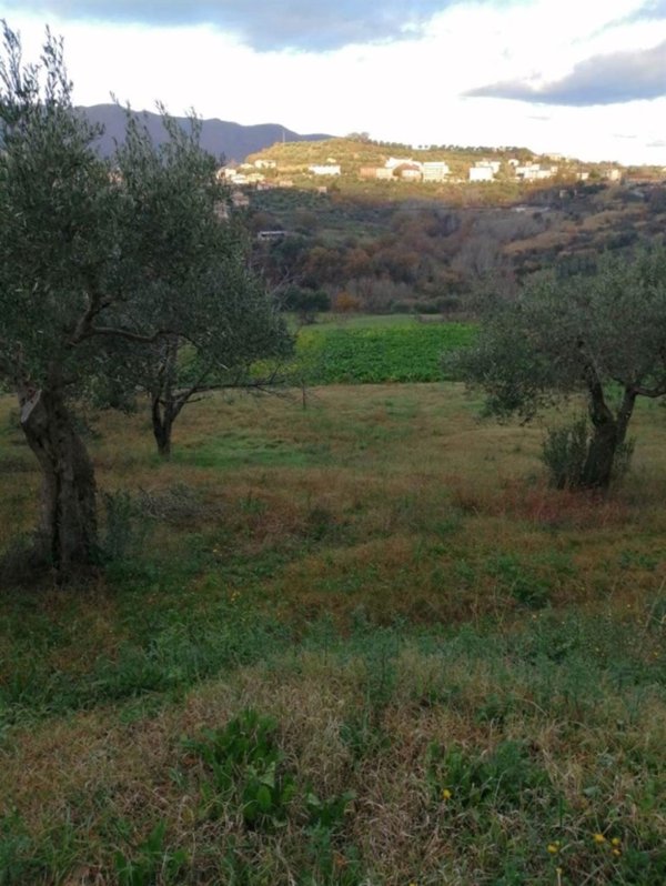 terreno agricolo in vendita a Carolei in zona Lacconi
