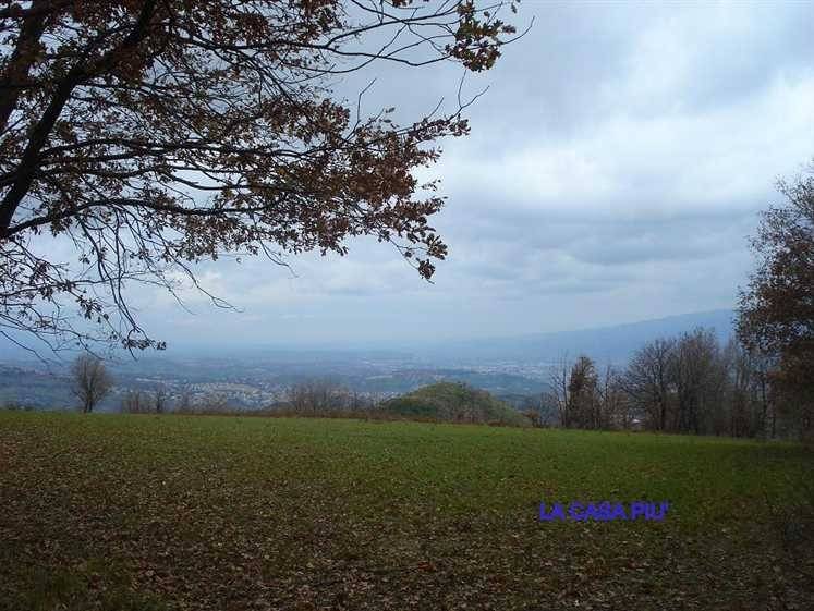 terreno agricolo in vendita a Carolei