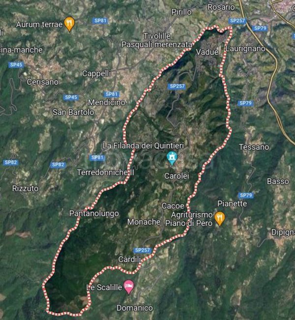 appartamento in vendita a Carolei