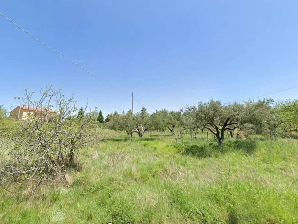 terreno agricolo in vendita a Carolei
