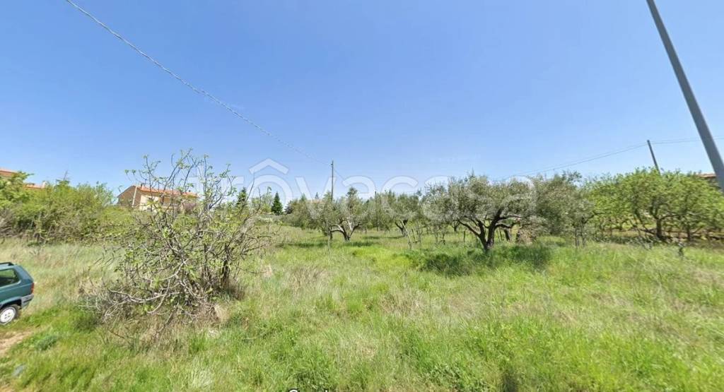 terreno agricolo in vendita a Carolei