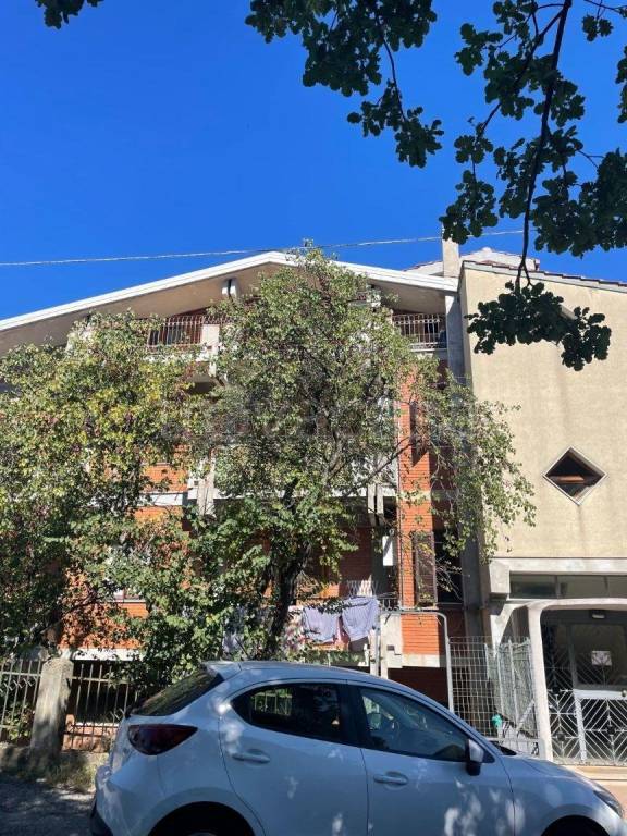 appartamento in vendita a Carolei