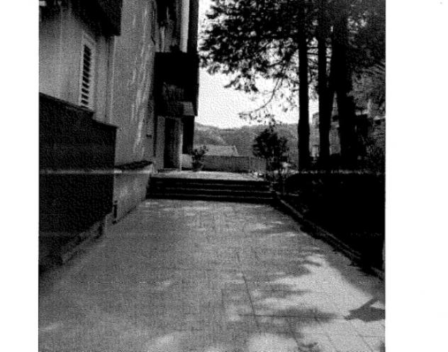 appartamento in vendita a Carolei