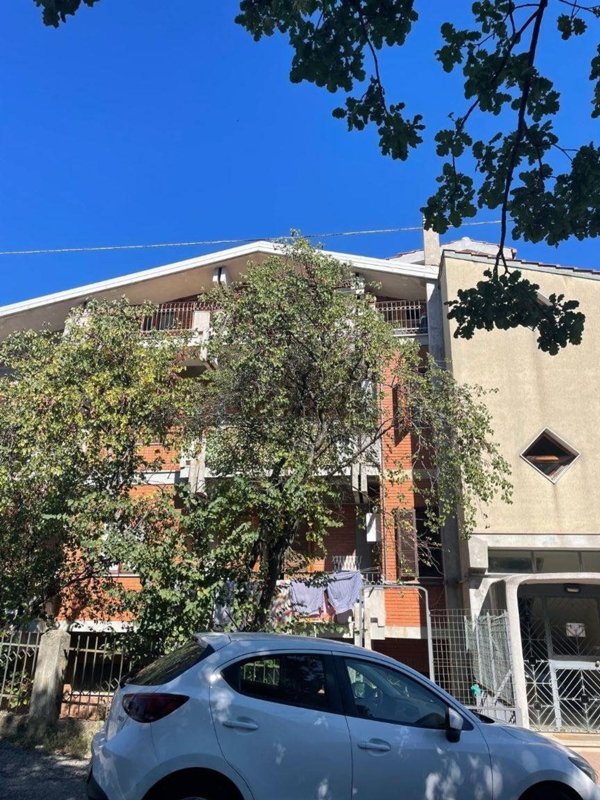 appartamento in vendita a Carolei