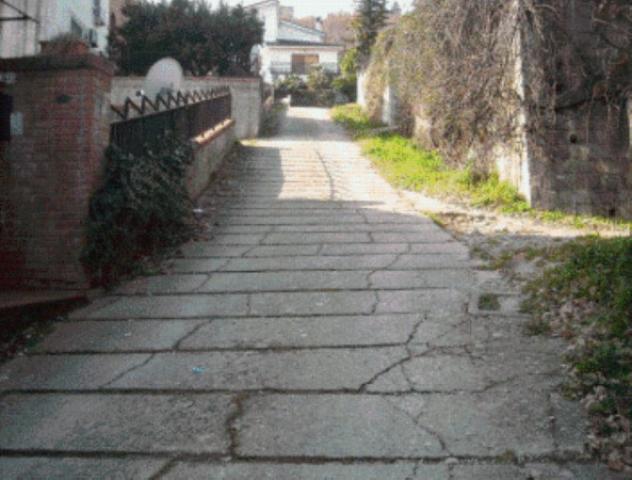 pentavano in vendita a Carolei