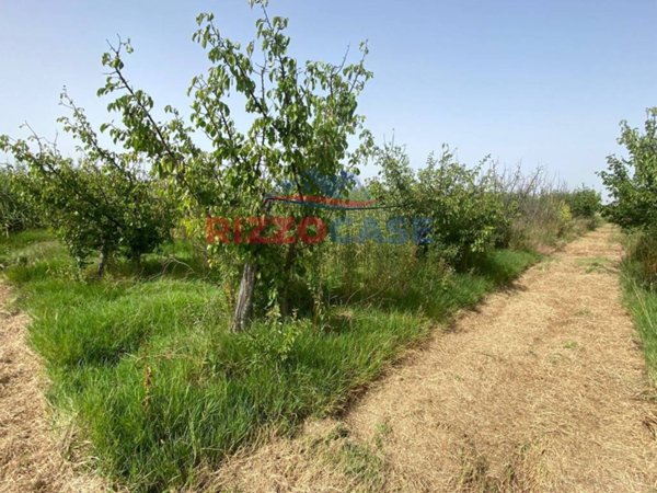 terreno agricolo in vendita a Cassano all'Ionio