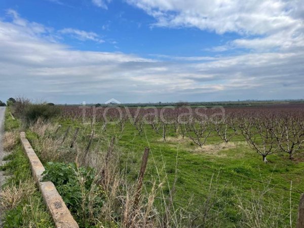 terreno agricolo in vendita a Cassano all'Ionio