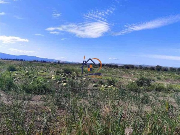 terreno agricolo in vendita a Cassano all'Ionio