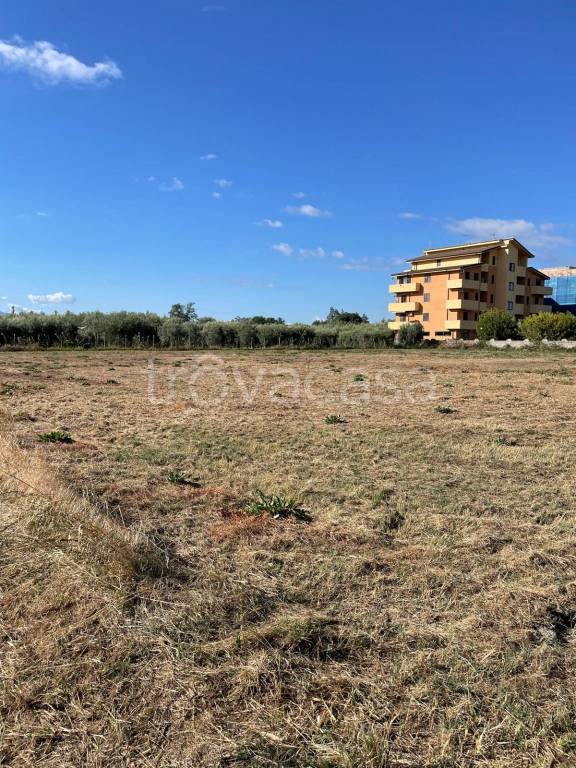 terreno agricolo in vendita a Cassano all'Ionio