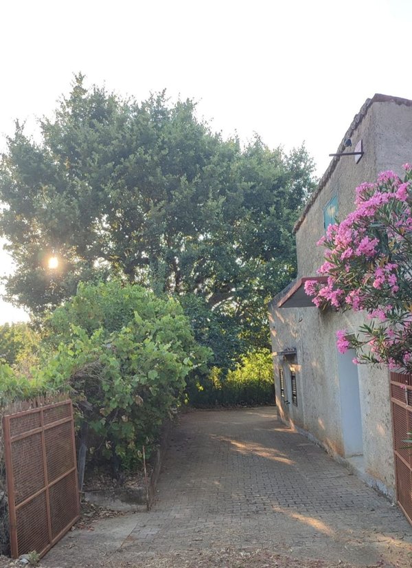 appartamento in vendita a Cassano all'Ionio