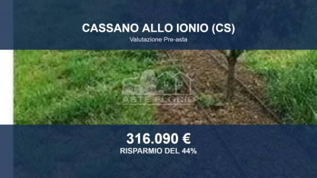 terreno agricolo in vendita a Cassano all'Ionio