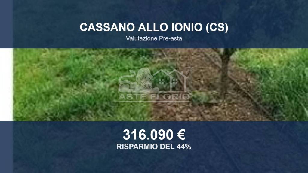 terreno agricolo in vendita a Cassano all'Ionio