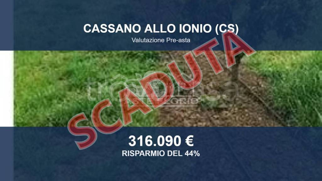 terreno agricolo in vendita a Cassano all'Ionio