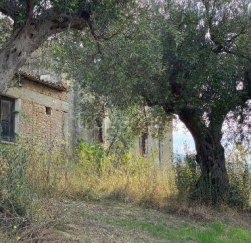 terreno agricolo in vendita a Castiglione Cosentino