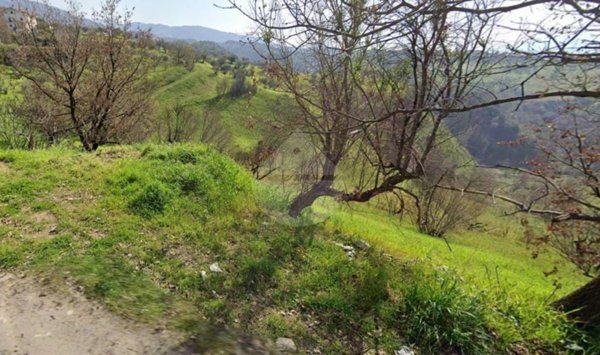terreno agricolo in vendita a Castiglione Cosentino