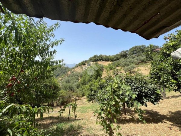 terreno agricolo in vendita a Castiglione Cosentino