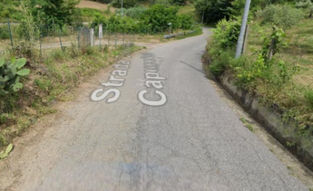 terreno agricolo in vendita a Castiglione Cosentino