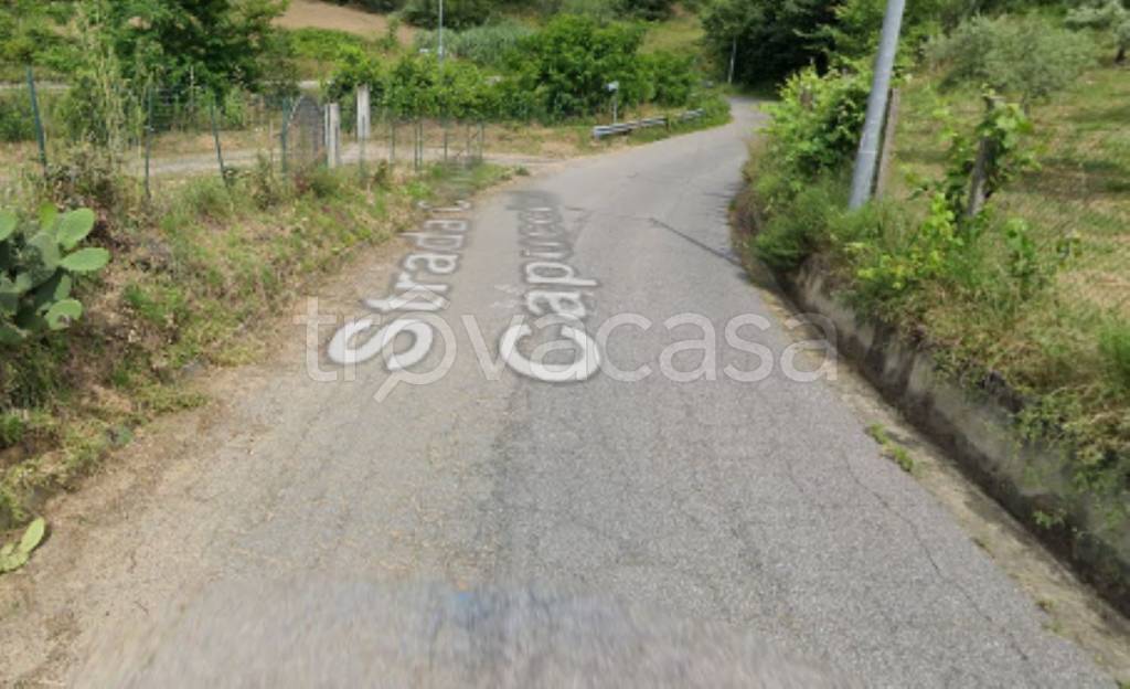 terreno agricolo in vendita a Castiglione Cosentino
