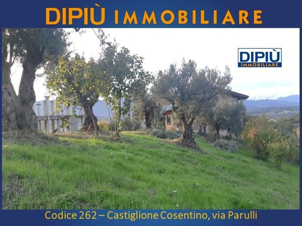 terreno edificabile in vendita a Castiglione Cosentino