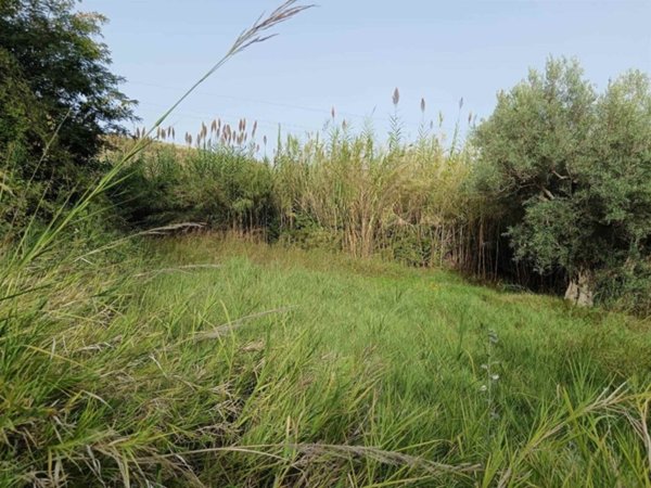 terreno agricolo in vendita a Castrolibero