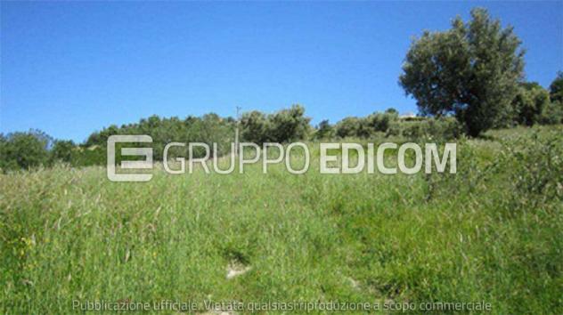 terreno agricolo in vendita a Castrolibero