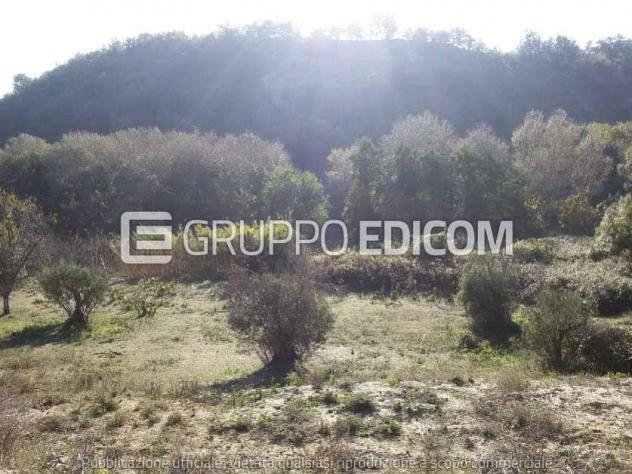 terreno agricolo in vendita a Castrolibero