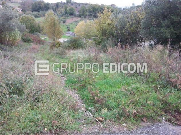 terreno agricolo in vendita a Castrolibero
