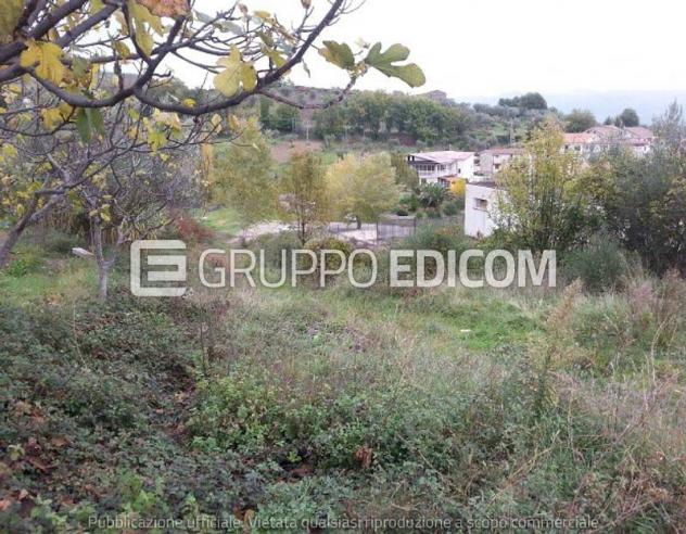 terreno agricolo in vendita a Castrolibero