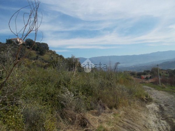 terreno agricolo in vendita a Castrolibero