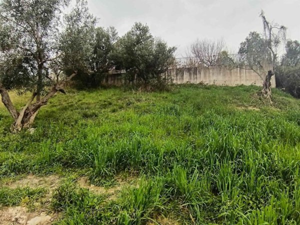 terreno agricolo in vendita a Castrolibero