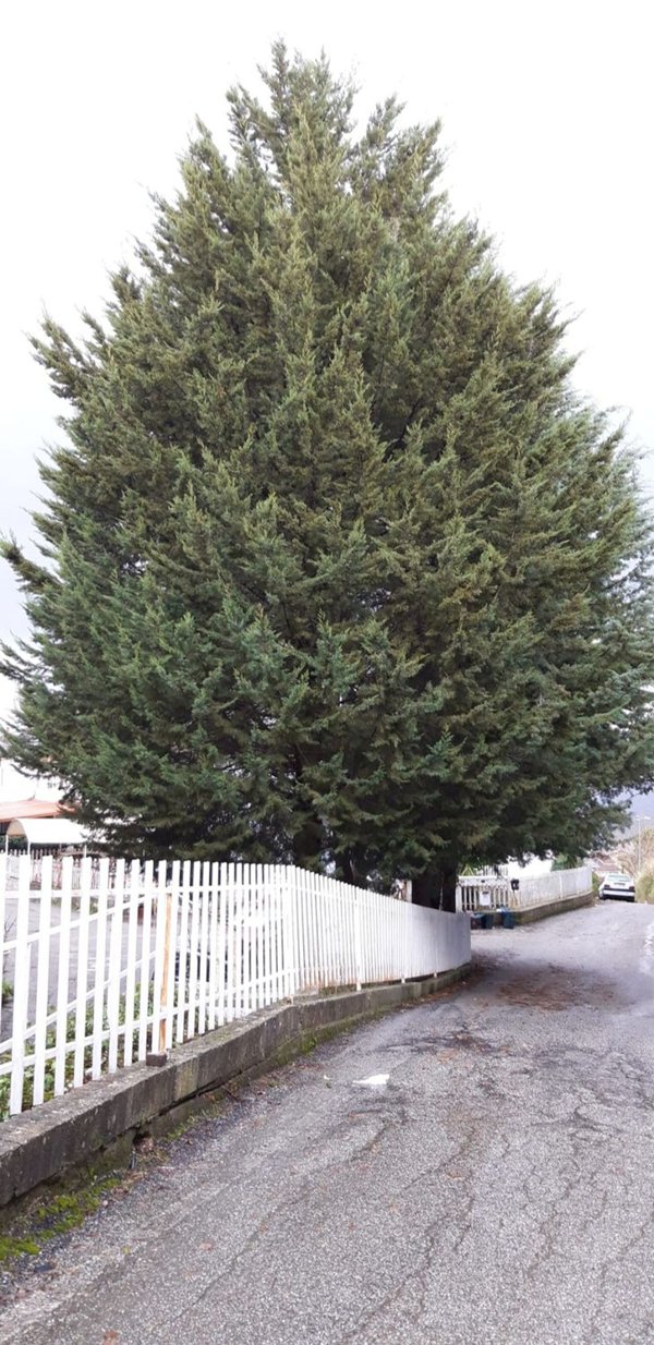 casa indipendente in vendita a Castrolibero
