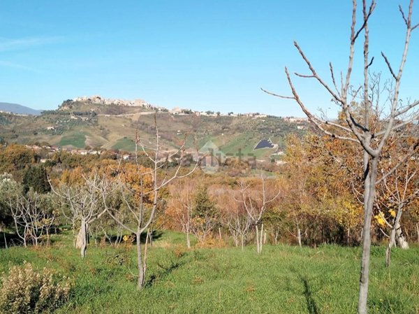 terreno agricolo in vendita a Castrolibero