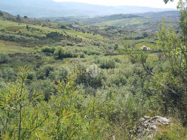 terreno agricolo in vendita a Castrolibero