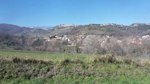 terreno agricolo in vendita a Castrolibero in zona Andreotta