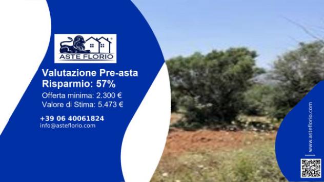 terreno agricolo in vendita a Castrovillari