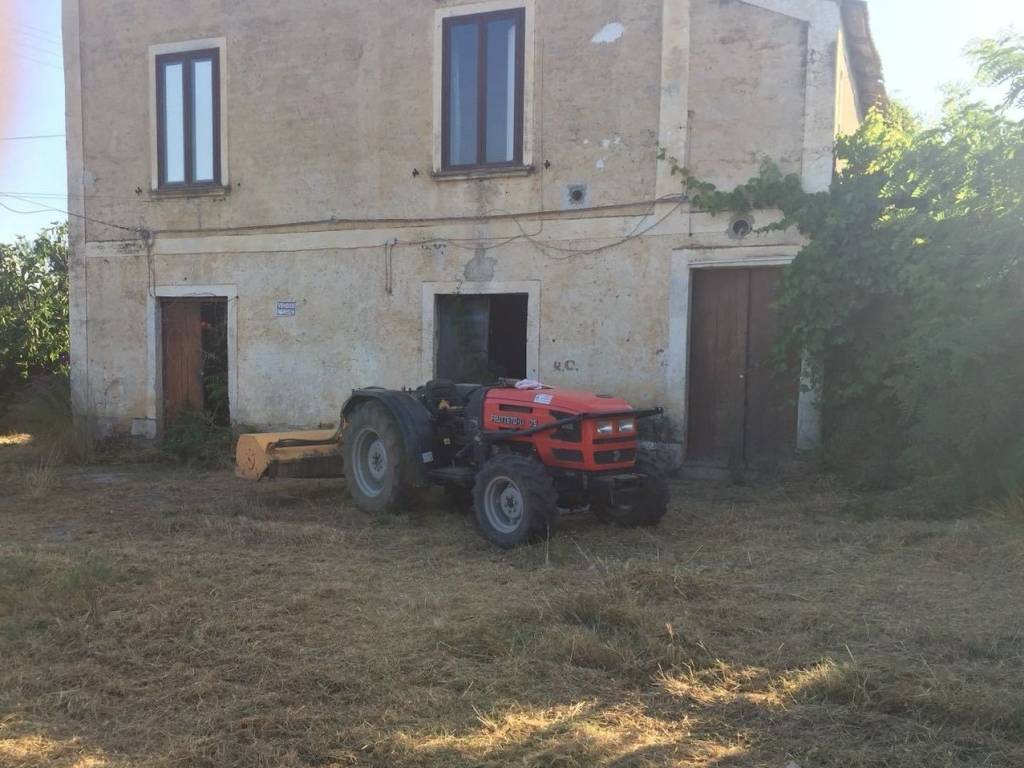 terreno agricolo in vendita a Castrovillari
