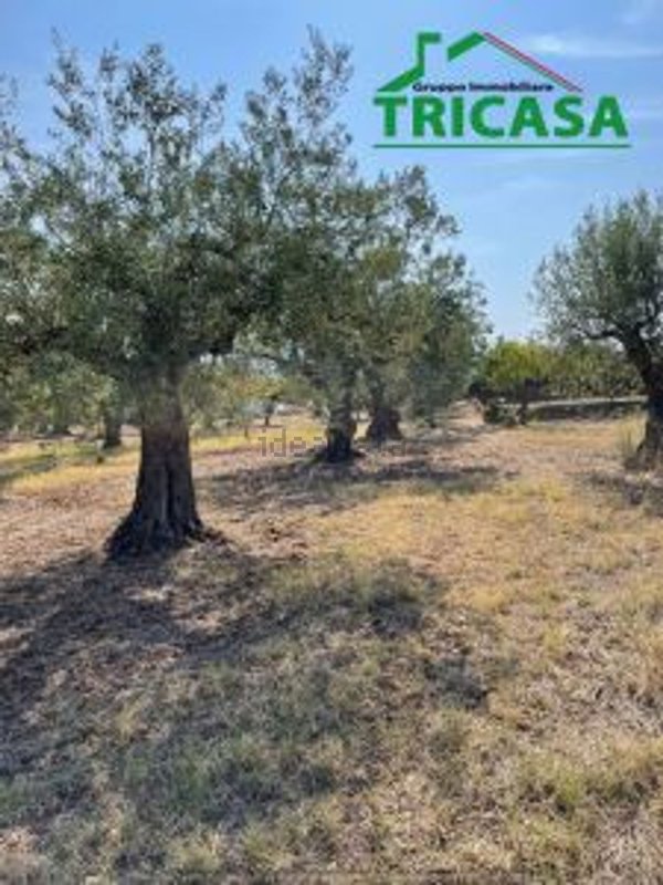 appartamento in vendita a Castrovillari